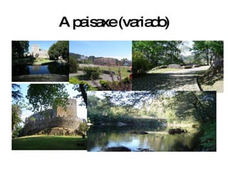 A paisaxe (variado) 