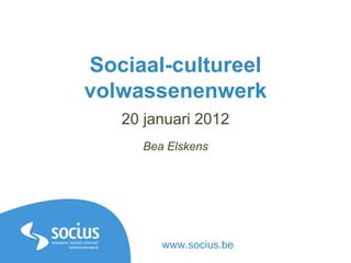Sociaal-cultureel volwassenenwerk 20 januari 2012 Bea Elskens www.socius.be 
