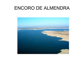 ENCORO DE ALMENDRA
 
