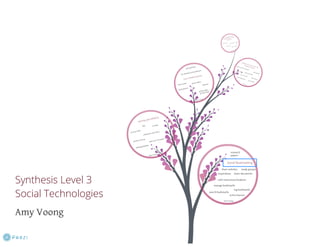 Synthesis -- Level 3 (social)