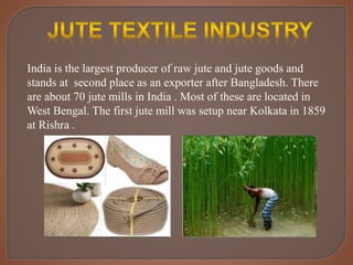 India is the largest producer of raw jute and jute goods and
stands at second place as an exporter after Bangladesh. There
are about 70 jute mills in India . Most of these are located in
West Bengal. The first jute mill was setup near Kolkata in 1859
at Rishra .
 