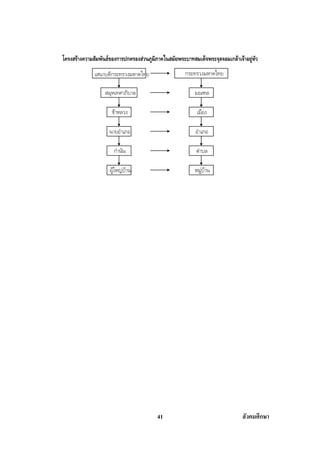 สรุปสังคม