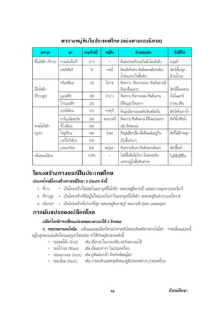 สรุปสังคม