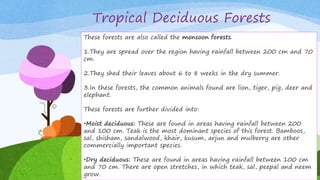 Tropical Deciduous Forests
These forests are also called the monsoon forests.
1.They are spread over the region having rainfall between 200 cm and
70 cm.
2.They shed their leaves about 6 to 8 weeks in the dry summer.
3.In these forests, the common animals found are lion, tiger, pig, deer
and elephant.
These forests are further divided into:
•Moist deciduous: These are found in areas having rainfall between 200
and 100 cm. Teak is the most dominant species of this forest. Bamboos,
sal, shisham, sandalwood, khair, kusum, arjun and mulberry are other
commercially important species.
•Dry deciduous: These are found in areas having rainfall between 100 cm
and 70 cm. There are open stretches, in which teak, sal, peepal and
neem grow.
These forests are also called the monsoon forests.
1.They are spread over the region having rainfall between 200 cm and 70
cm.
2.They shed their leaves about 6 to 8 weeks in the dry summer.
3.In these forests, the common animals found are lion, tiger, pig, deer and
elephant.
These forests are further divided into:
•Moist deciduous: These are found in areas having rainfall between 200
and 100 cm. Teak is the most dominant species of this forest. Bamboos,
sal, shisham, sandalwood, khair, kusum, arjun and mulberry are other
commercially important species.
•Dry deciduous: These are found in areas having rainfall between 100 cm
and 70 cm. There are open stretches, in which teak, sal, peepal and neem
grow.
 