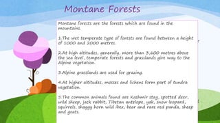 Montane Forests
Montane forests are the forests which are found in the mountains.
1.The wet temperate type of forests are found between a height of
1000 and 2000 metres.
2.At high altitudes, generally, more than 3,600 metres above the
sea level, temperate forests and grasslands give way to the Alpine
vegetation.
3.Alpine grasslands are used for grazing.
4.At higher altitudes, mosses and lichens form part of tundra
vegetation.
5.The common animals found are Kashmir stag, spotted deer, wild
sheep, jack rabbit, Tibetan antelope, yak, snow leopard, squirrels,
shaggy horn wild ibex, bear and rare red panda, sheep and goats.
Montane forests are the forests which are found in the
mountains.
1.The wet temperate type of forests are found between a height
of 1000 and 2000 metres.
2.At high altitudes, generally, more than 3,600 metres above
the sea level, temperate forests and grasslands give way to the
Alpine vegetation.
3.Alpine grasslands are used for grazing.
4.At higher altitudes, mosses and lichens form part of tundra
vegetation.
5.The common animals found are Kashmir stag, spotted deer,
wild sheep, jack rabbit, Tibetan antelope, yak, snow leopard,
squirrels, shaggy horn wild ibex, bear and rare red panda, sheep
and goats.
 