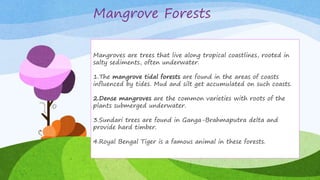 Mangrove Forests
Mangroves are trees that live along tropical coastlines,
rooted in salty sediments, often underwater.
1.The mangrove tidal forests are found in the areas of coasts
influenced by tides. Mud and silt get accumulated on such
coasts.
2.Dense mangroves are the common varieties with roots of
the plants submerged underwater.
3.Sundari trees are found in Ganga-Brahmaputra delta and
provide hard timber.
4.Royal Bengal Tiger is a famous animal in these forests.
Mangroves are trees that live along tropical coastlines, rooted in
salty sediments, often underwater.
1.The mangrove tidal forests are found in the areas of coasts
influenced by tides. Mud and silt get accumulated on such coasts.
2.Dense mangroves are the common varieties with roots of the
plants submerged underwater.
3.Sundari trees are found in Ganga-Brahmaputra delta and
provide hard timber.
4.Royal Bengal Tiger is a famous animal in these forests.
 