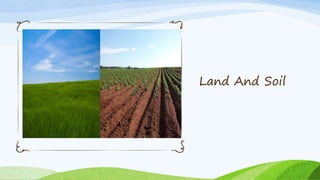 Land And Soil
 
