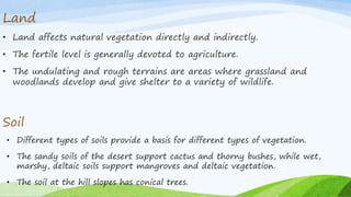 Land
• Land affects natural vegetation directly and indirectly.
• The fertile level is generally devoted to agriculture.
• The undulating and rough terrains are areas where grassland and
woodlands develop and give shelter to a variety of wildlife.
• Different types of soils provide a basis for different types of vegetation.
• The sandy soils of the desert support cactus and thorny bushes, while wet,
marshy, deltaic soils support mangroves and deltaic vegetation.
• The soil at the hill slopes has conical trees.
Soil
 