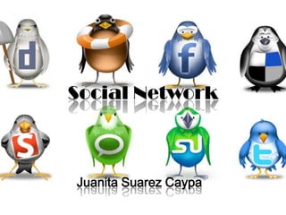 Social Network
Juanita Suarez Caypa
 