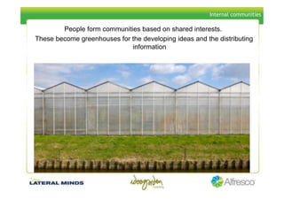 Social Computing Jenny Williams