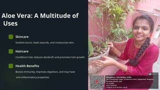 Aloe Vera: A Multitude of
Uses
Skincare
Soothes burns, heals wounds, and moisturizes skin.
Haircare
Conditions hair, reduces dandruff, and promotes hair growth.
Health Benefits
Boosts immunity, improves digestion, and may have
anti-inflammatory properties
 