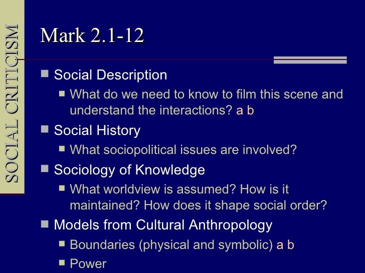 What is social criticism