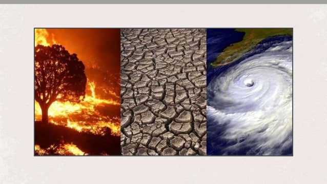 Social-Dimension-of-Environmental-Problems_Grp-1.pptx