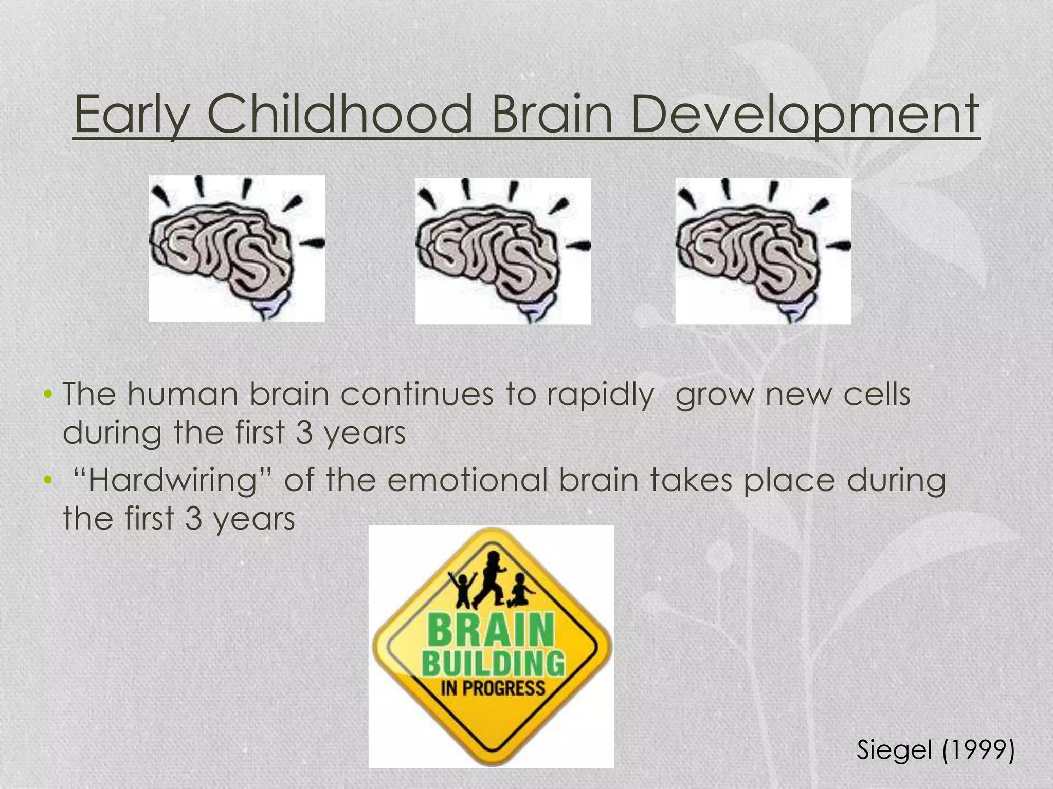Early Childhood Brain Development
• The human brain continues to rapidly grow new cells
during the first 3 years
• “Hardwiring” of the emotional brain takes place during
the first 3 years
Siegel (1999)
 