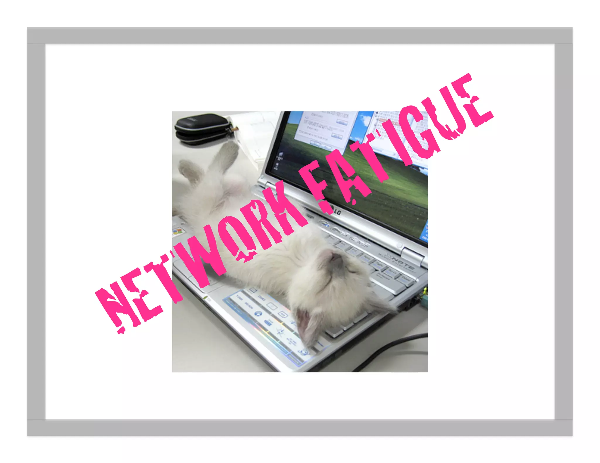 What's The Social Graph Got To Do With It?