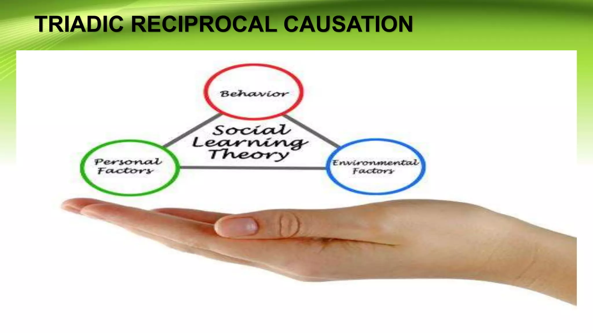 TRIADIC RECIPROCAL CAUSATION
 