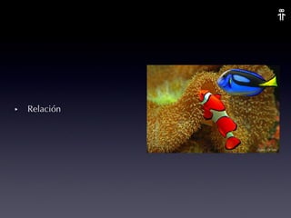 Relación 