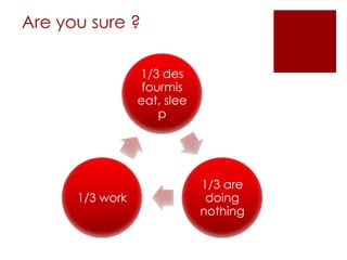 Are you sure ?
1/3 des
fourmis
eat, slee
p
1/3 are
doing
nothing
1/3 work