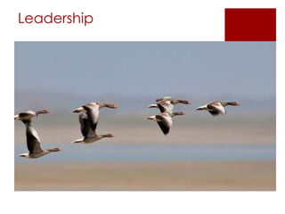 Leadership