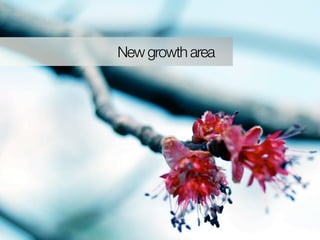 New growth area
 