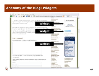 Anatomy of the Blog: Widgets




                  Widget


                  Widget




                  Widget
                   id




                               66
 