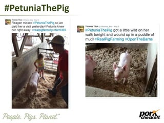 #PetuniaThePig
 