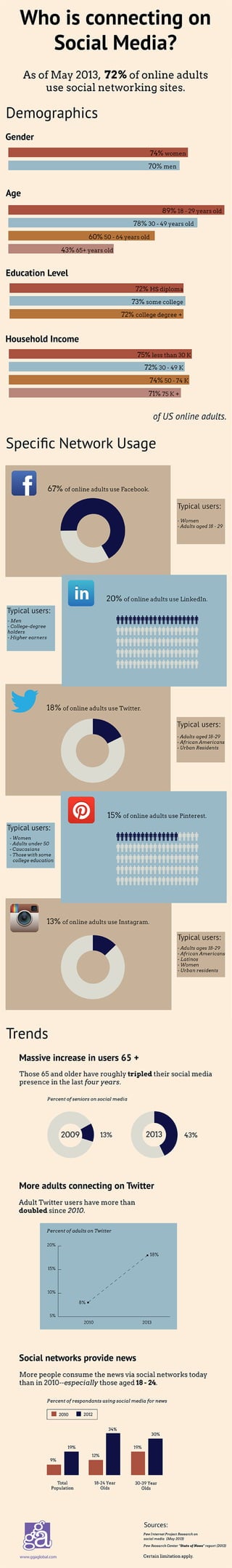 Social Media Demographics (2013)