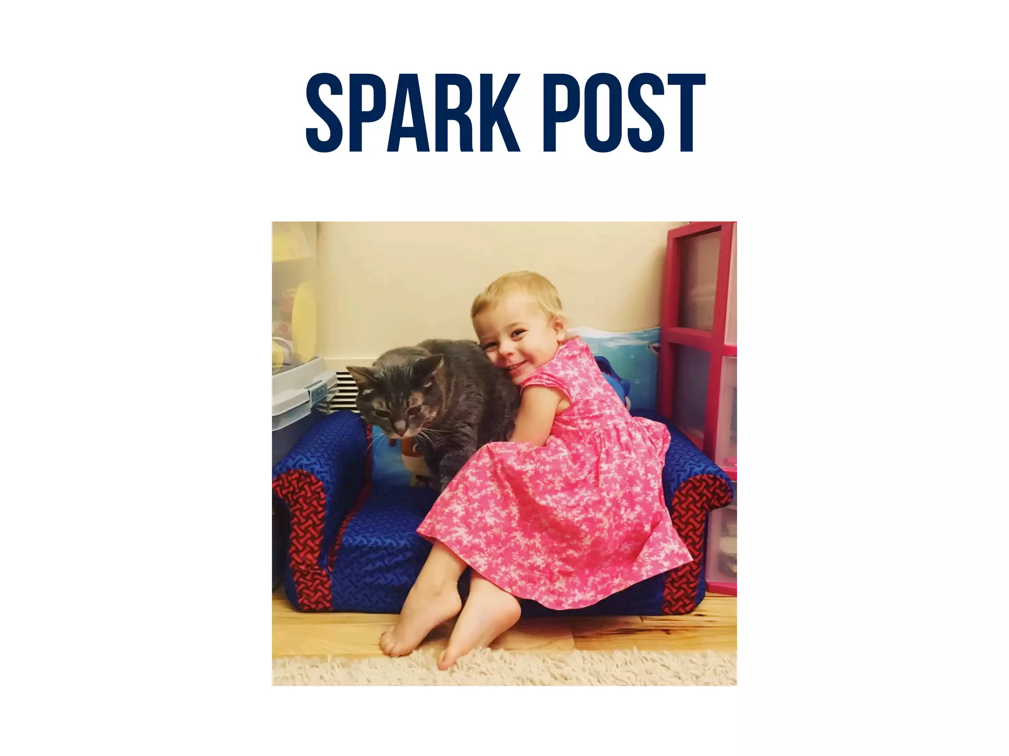 SPARK POST
 
