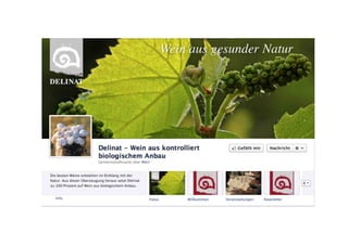 Social  Media killed the Webdesign Star