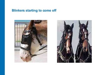 Blinkers starting to come off 