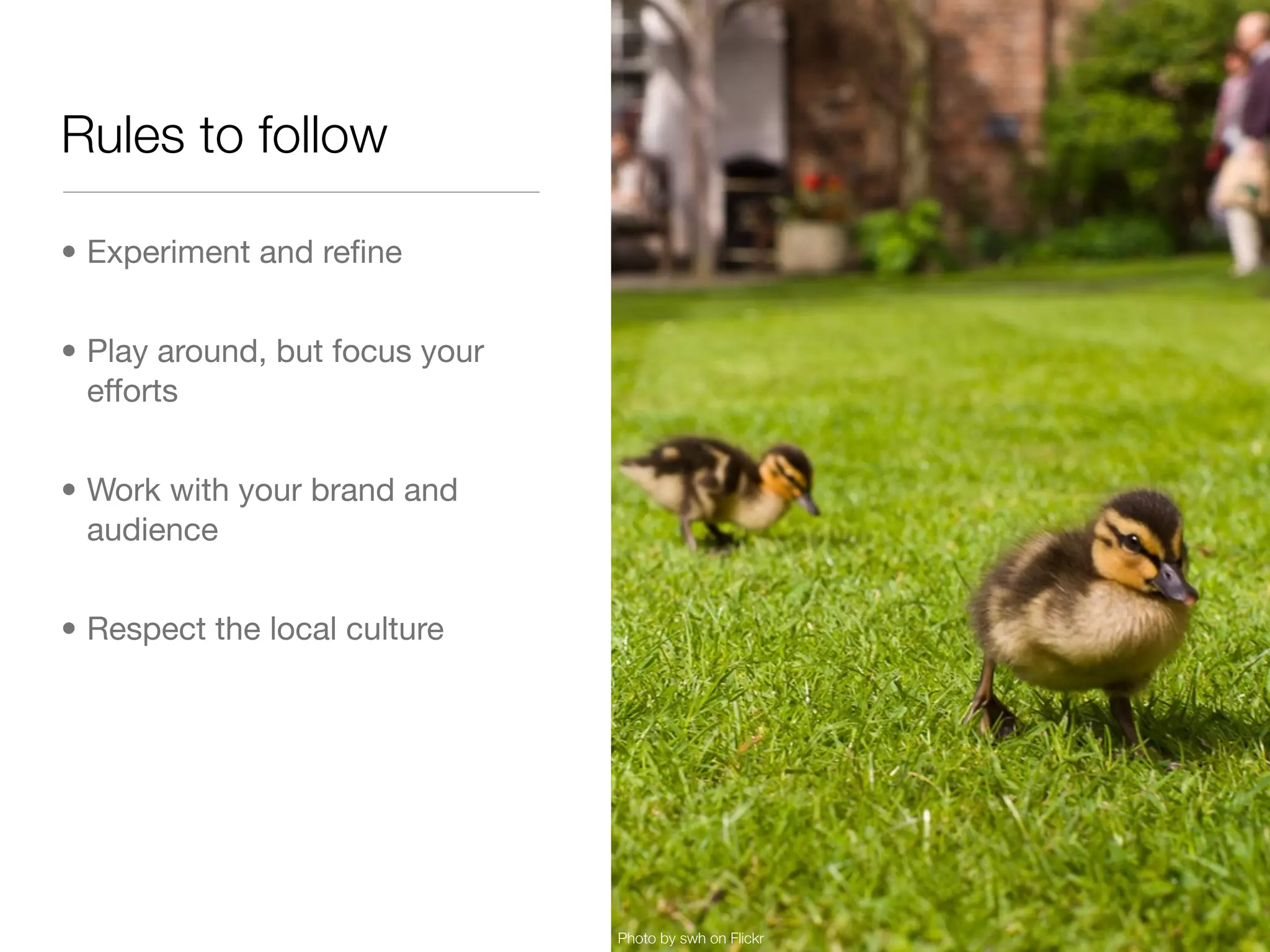 Rules to follow

• Experiment and reﬁne


• Play around, but focus your
  efforts


• Work with your brand and
  audience


• Respect the local culture




                                Photo by swh on Flickr
 