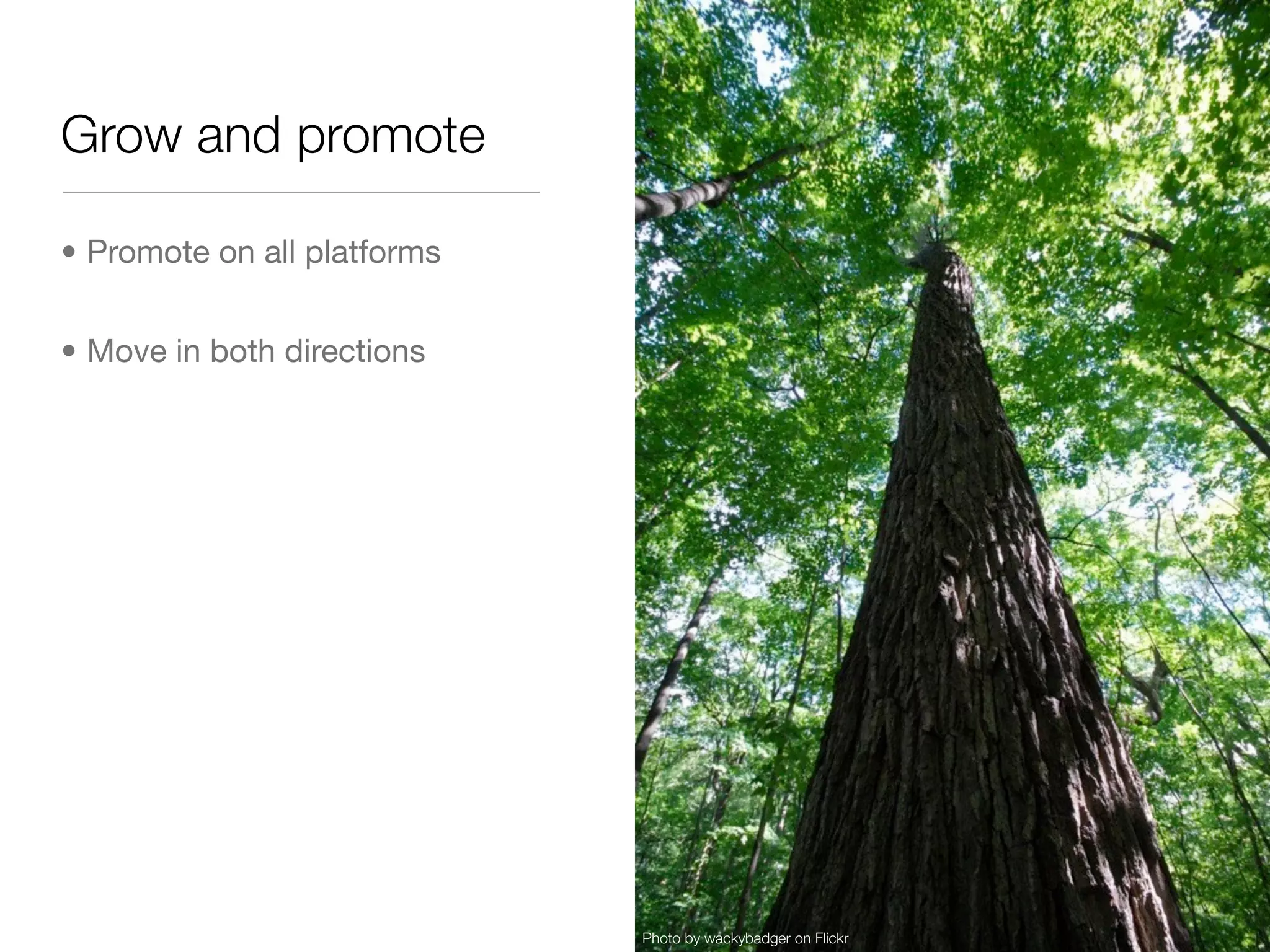 Grow and promote

• Promote on all platforms


• Move in both directions




                             Photo by wackybadger on Flickr
 