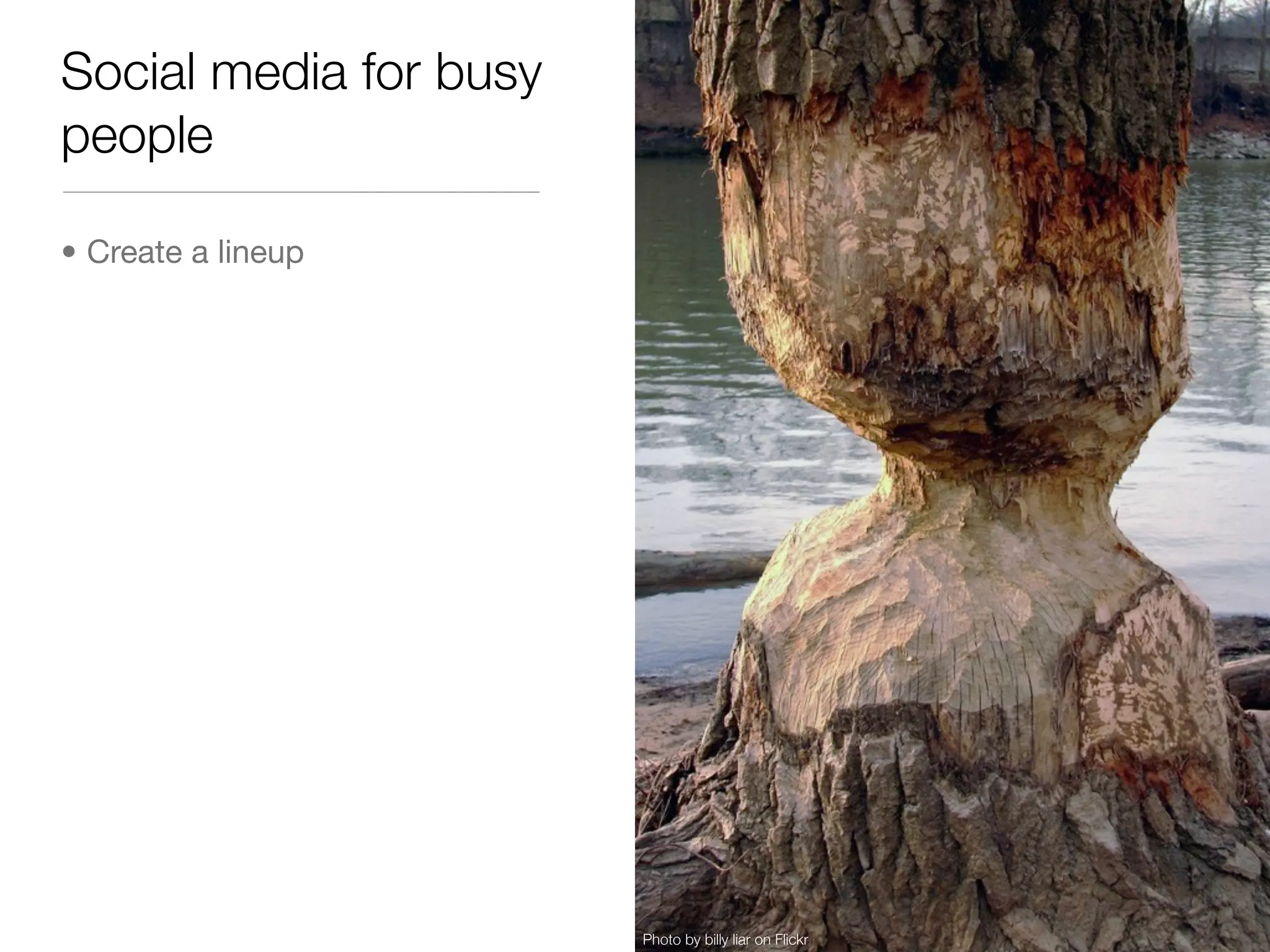 Social media for busy
people

• Create a lineup




                        Photo by billy liar on Flickr
 