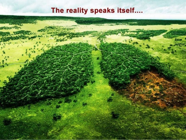 What have we done to the planet earth help earth survive for our nex 