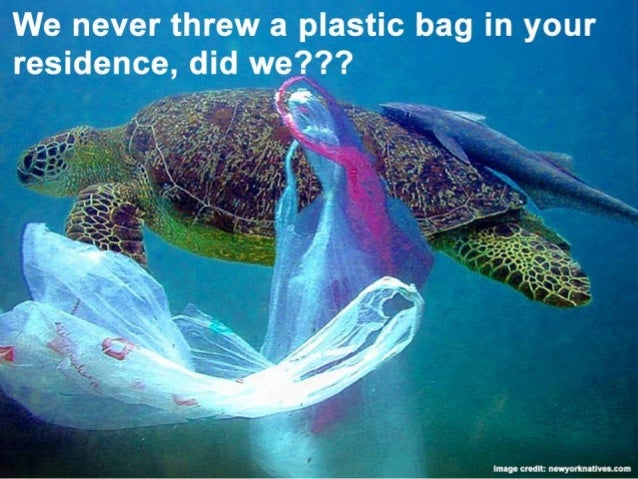 What have we done to the planet earth help earth survive for our nex 