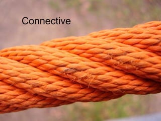 Connective 