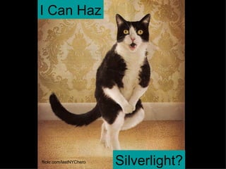 I Can Haz Silverlight? flickr.com/lastNYChero 