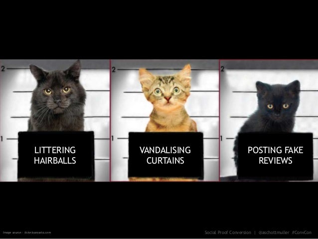 Social Proof Conversion Optimization Secrets Slide 40