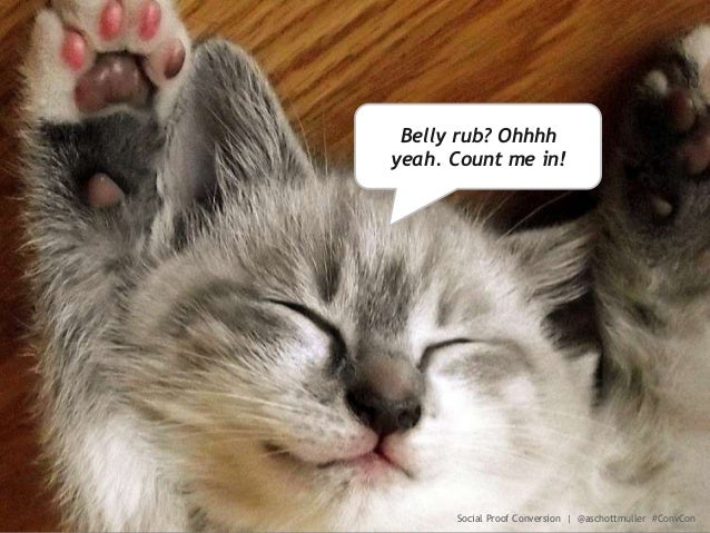 Social Proof Conversion Optimization Secrets Slide 58