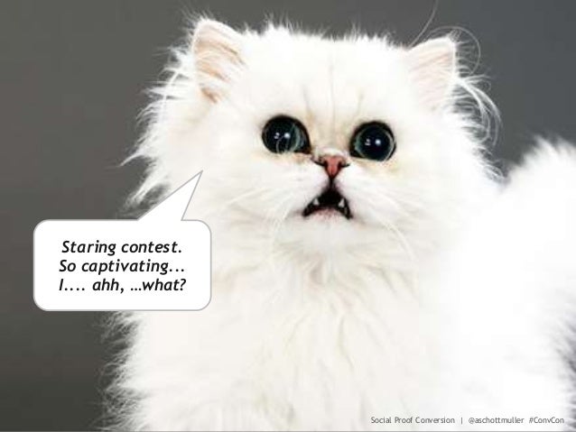 Social Proof Conversion Optimization Secrets Slide 71