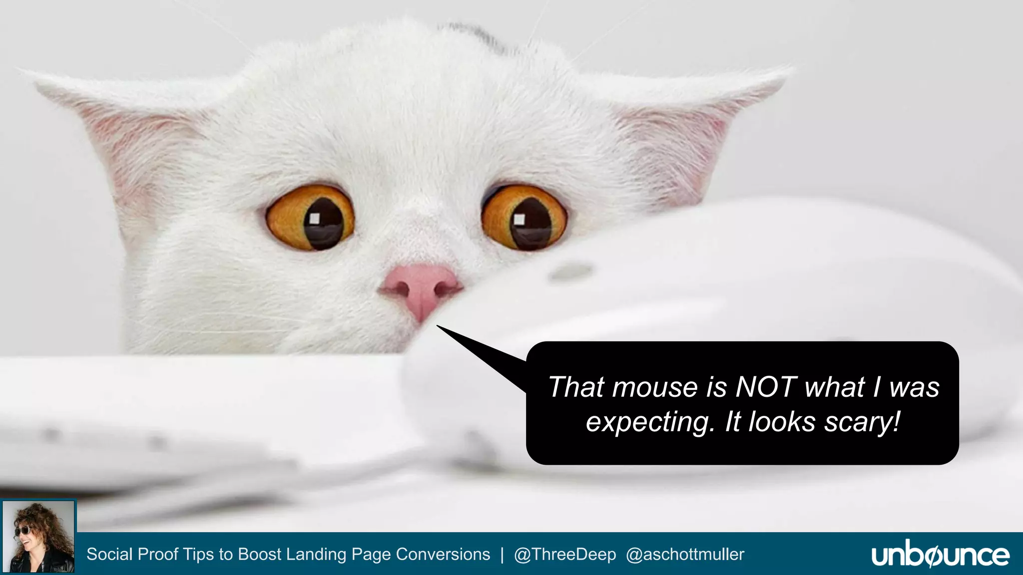 That mouse is NOT what I was 
expecting. It looks scary! 
Social Proof Tips to Boost Landing Page Conversions | @ThreeDeep @aschottmuller 
 