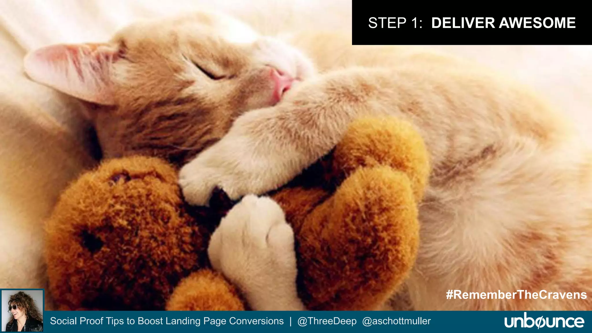 STEP 1: DELIVER AWESOME 
Social Proof Tips to Boost Landing Page Conversions | @ThreeDeep @aschottmuller 
#RememberTheCravens 
 