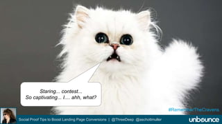Social Proof Tips to Boost Landing Page Conversions | @ThreeDeep @aschottmuller 
#RememberTheCravens 
Staring... contest... 
So captivating... I.... ahh, what? 
 