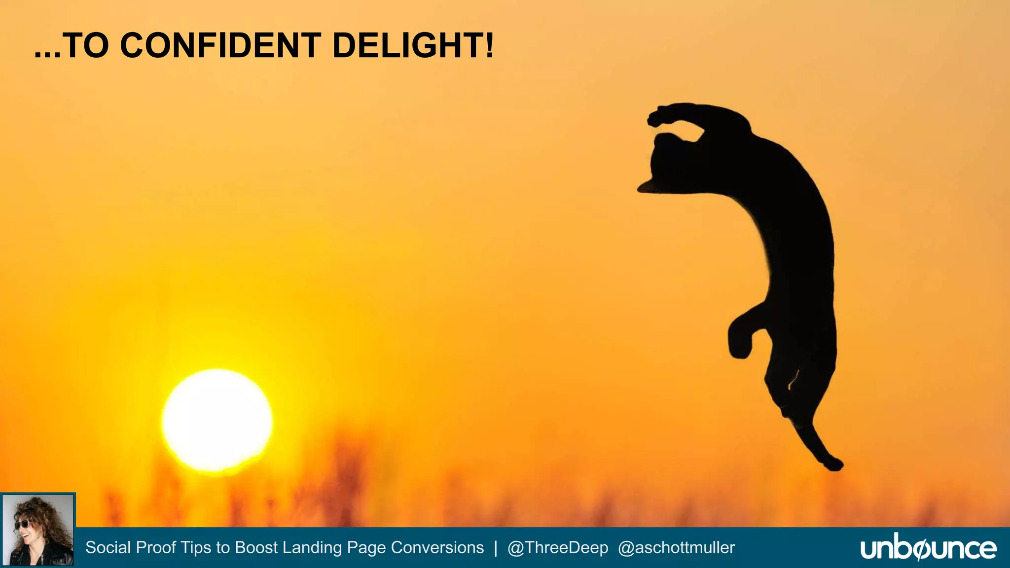 ...TO CONFIDENT DELIGHT! 
Social Proof Tips to Boost Landing Page Conversions | @ThreeDeep @aschottmuller 
 