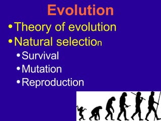 Social Psychology: Introduction: Lecture1