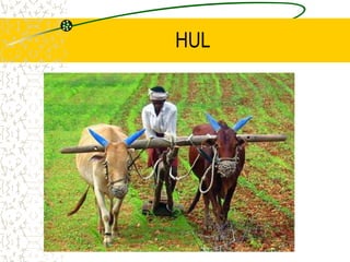 HUL
 