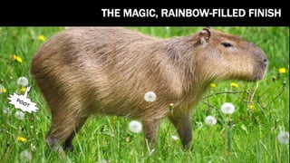 THE MAGIC, RAINBOW-FILLED FINISH
POOT
THE MAGIC, RAINBOW-FILLED FINISH
 