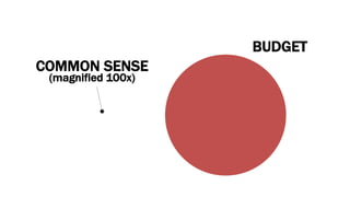 BUDGET
COMMON SENSE
(magnified 100x)
 
