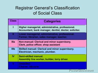 Social structures-2802345 | PPSX