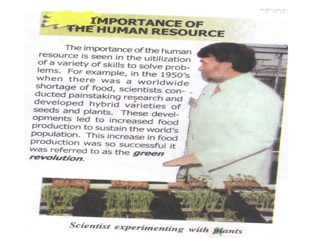 Social studies human resource